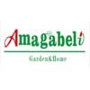 Amagabeli-coupon.jpg