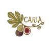 Fig-of-Caria-promotional.jpg